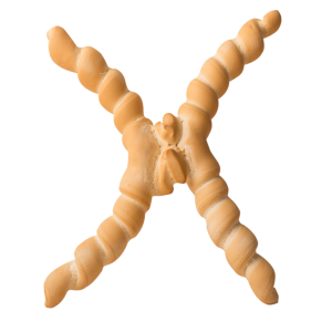 La Coppia 200G